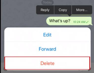 delete telegram everywhere messages everyone message